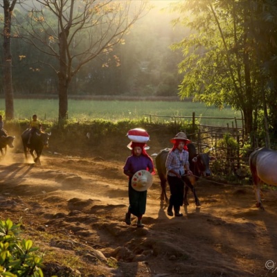 Myanmar _1200