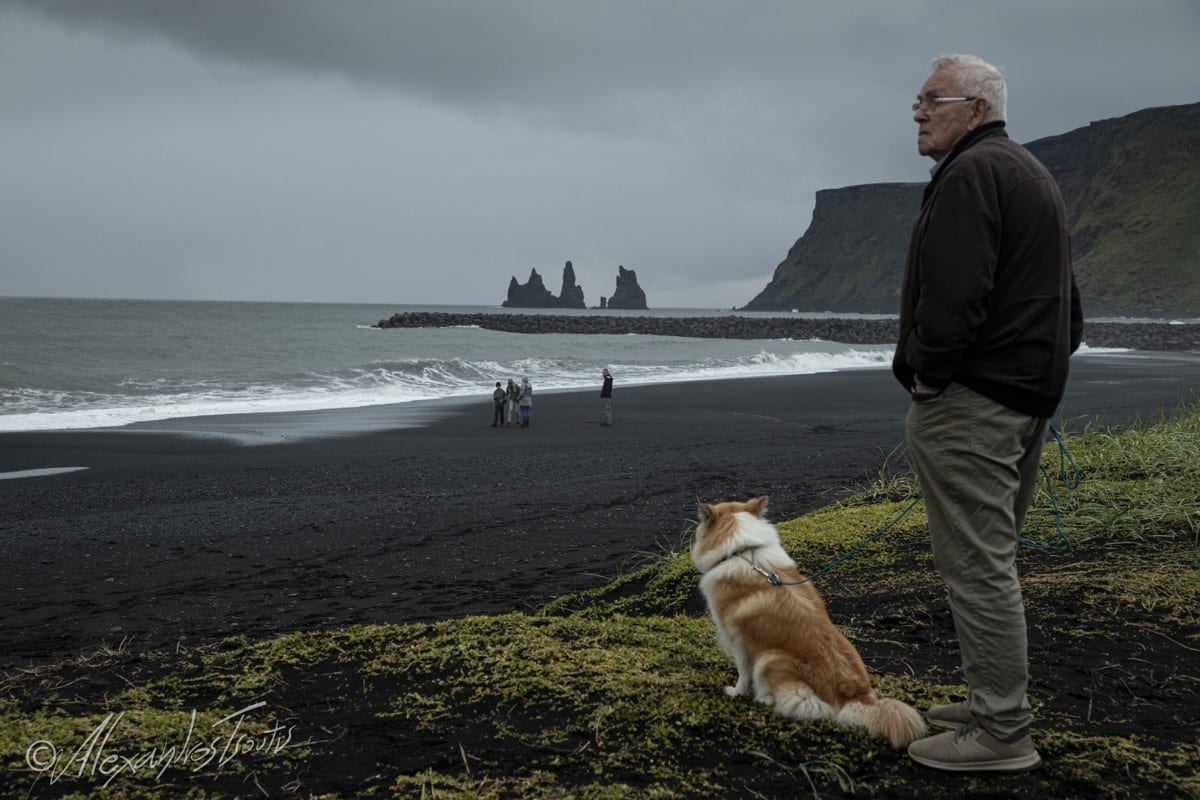 Iceland black beach man dog